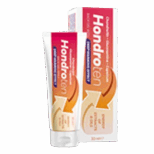 Hondroten